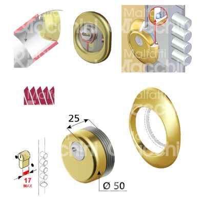 Disec bkd270ol protettore monolito interasse fori mm 38 misura Ø 54 profondita' mm 25 ottone lucido