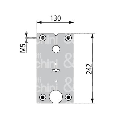 Fiam 99080801 piastra per fiam 800-801-802-808 misura mm 130 x 242 dx