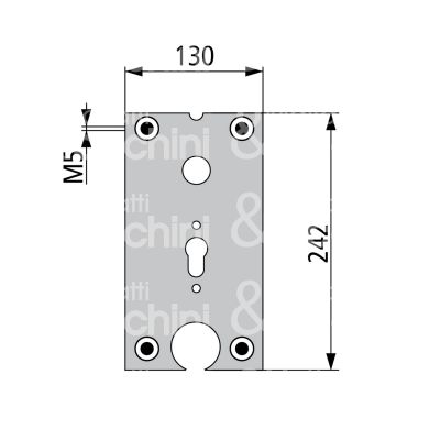 Fiam 99086801 piastra per fiam 868-868p-868pe misura mm 130 x 242 dx